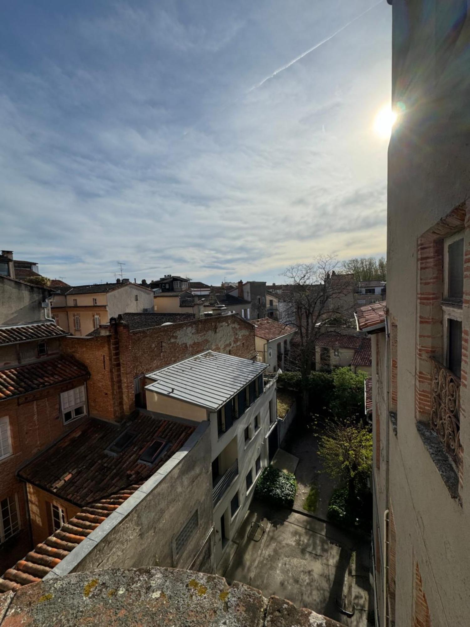 Le Bijou Des Carmes - Haut De Gamme Climatise Toulouse Eksteriør billede